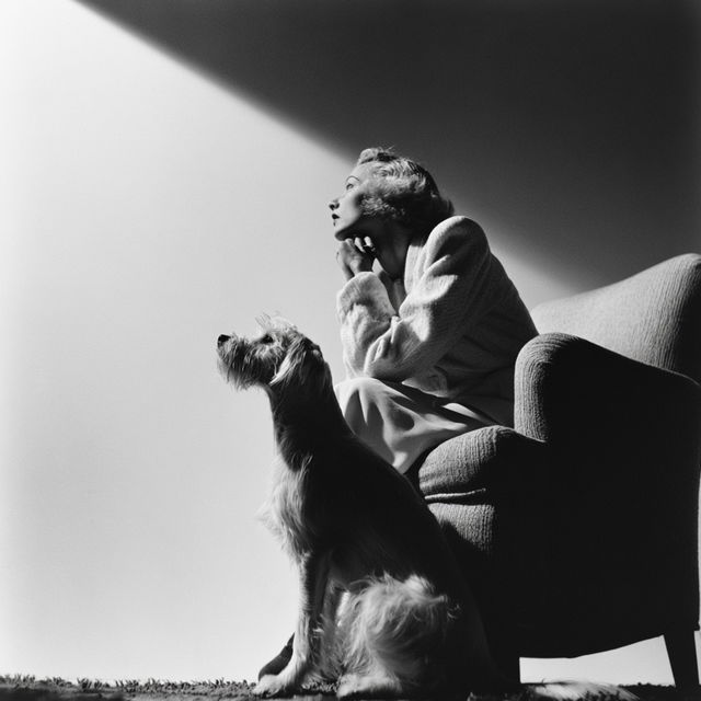 George Platt Lynes style, Midjourney V8.2, render 3 of 4