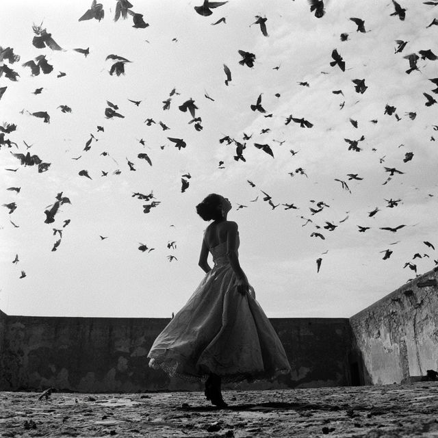 Graciela Iturbide style, Midjourney V8.2, render 1 of 4