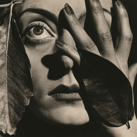 Grete Stern style (Photographers), Midjourney V8.2