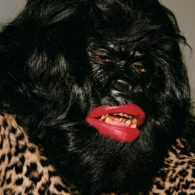 Guerrilla Girls style, Midjourney V8.2, render 2 of 4
