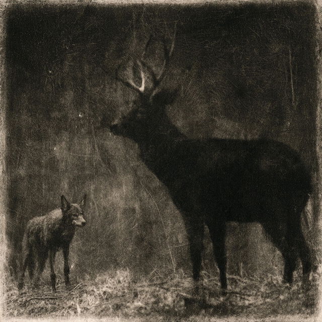 Gumoil print style, Midjourney V8.2, render 2 of 4