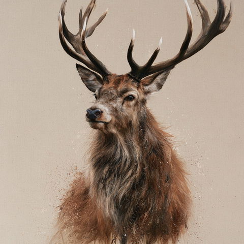 Hannah Dale style (Illustrators), Midjourney V8.2