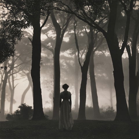 Harold Cazneaux style (Photographers), Midjourney V8.2