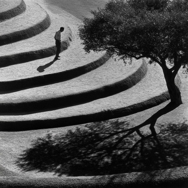 Herbert List style, Midjourney V8.2, render 1 of 4