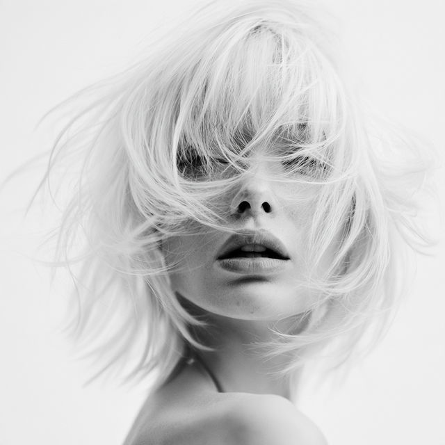 High key photography style, Midjourney V8.2, render 3 of 4