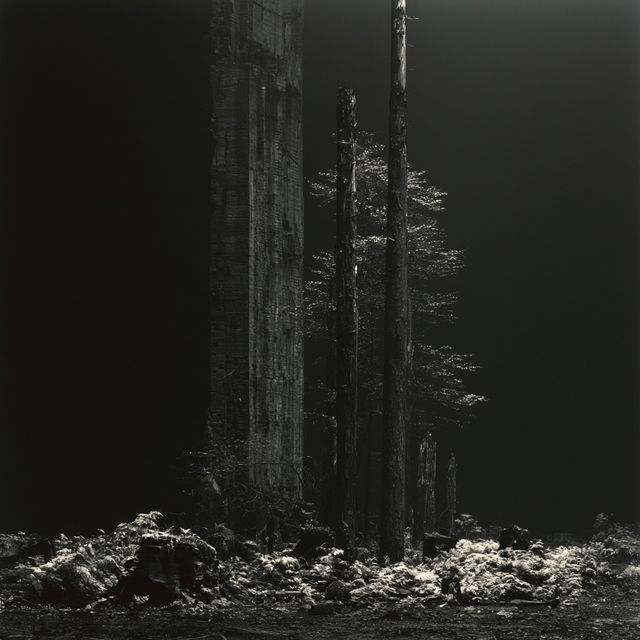 Hiroshi Sugimoto style, Midjourney V8.2, render 4 of 4