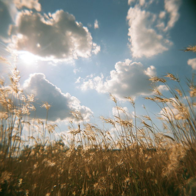 Holga photography style, Midjourney V8.2, render 1 of 4
