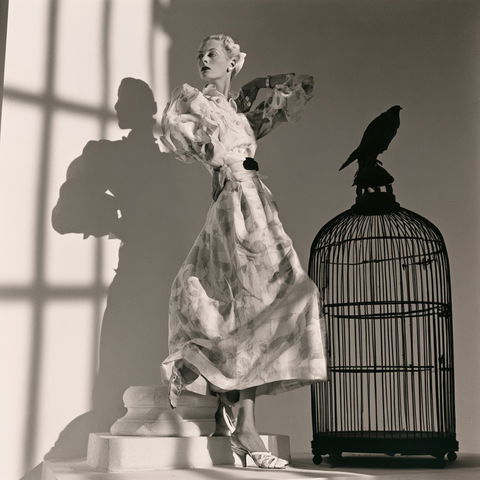 Horst P. Horst style (Photographers), Midjourney V8.2