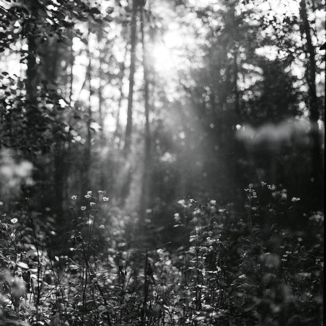 Ilford FP4 125 style, Midjourney V8.2, render 3 of 4