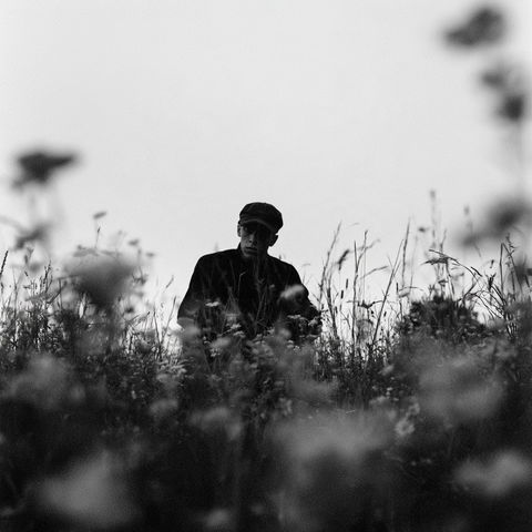 Ilford XP2 400 style (Techniques), Midjourney V8.2