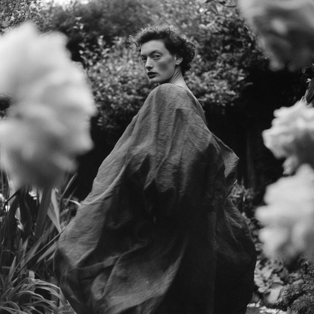 Imogen Cunningham style, Midjourney V8.2, render 2 of 4