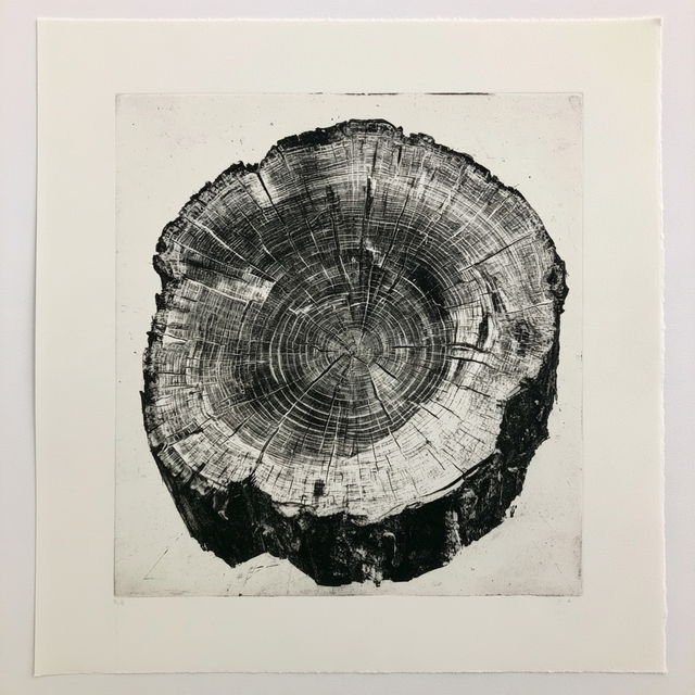 Intaglio print style, Midjourney V8.2, render 4 of 4