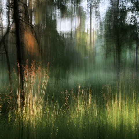 Intentional camera movement style (Techniques), Midjourney V8.2