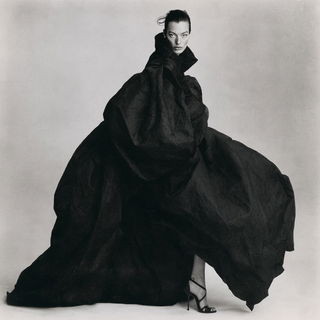 Irving Penn style, Midjourney V8.2, render 4 of 4
