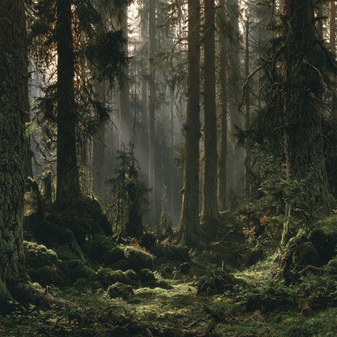 Ivan Shishkin style (Painters), Midjourney V8.2