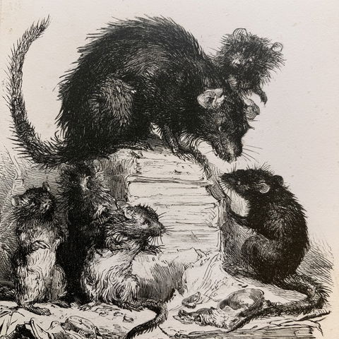 J. J. Grandville style (Illustrators), Midjourney V8.2