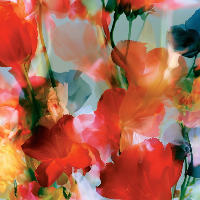 James Welling style, Midjourney V8.2, render 4 of 4