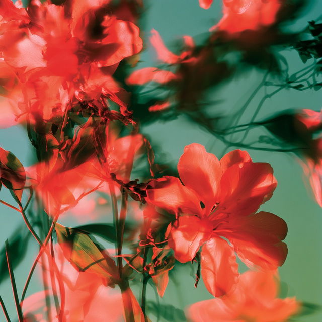 James Welling style, Midjourney V8.2, render 3 of 4