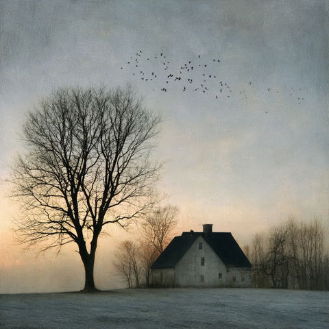 Jamie Heiden style (Photographers), Midjourney V8.2