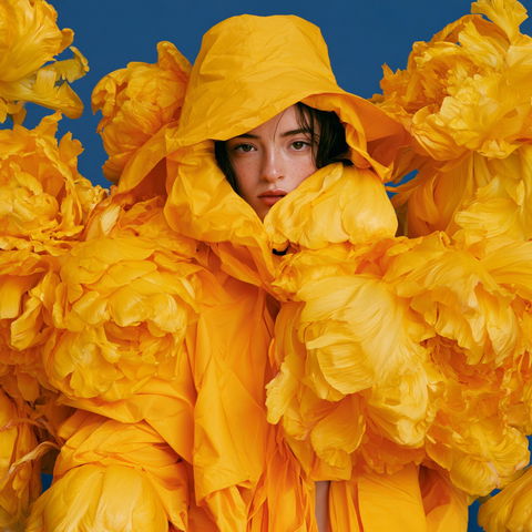 Javiera Estrada style (Photographers), Midjourney V8.2
