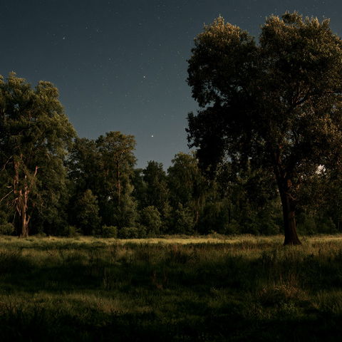 Jeanine Michna-Bales style (Various), Midjourney V8.2