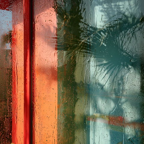 Jessica Backhaus style (Photographers), Midjourney V8.2