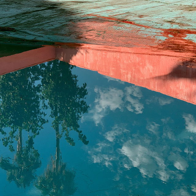 Jessica Backhaus style, Midjourney V8.2, render 3 of 4