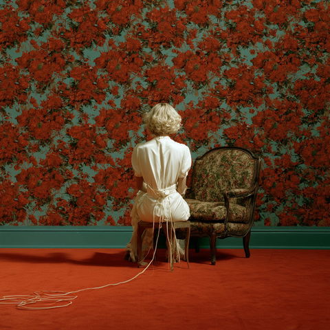 Jo Ann Callis style (Various), Midjourney V8.2