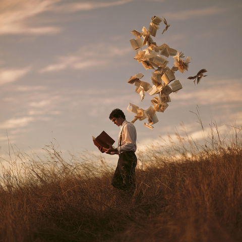 Joel Robison style (Photographers), Midjourney V8.2