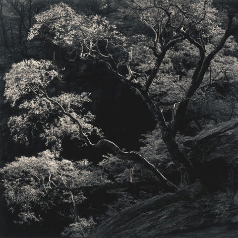 John Paul Caponigro style (Photographers), Midjourney V8.2