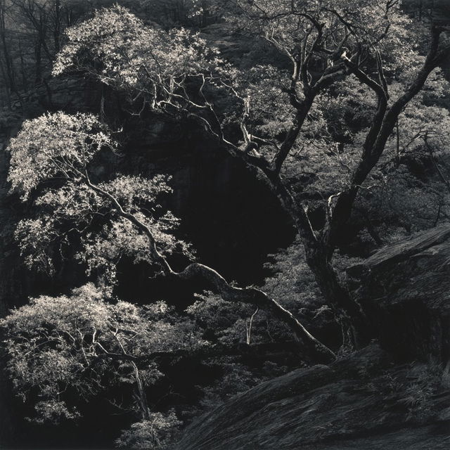 John Paul Caponigro style, Midjourney V8.2, render 1 of 4