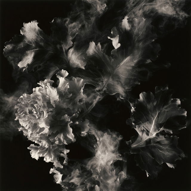 John Paul Caponigro style, Midjourney V8.2, render 4 of 4