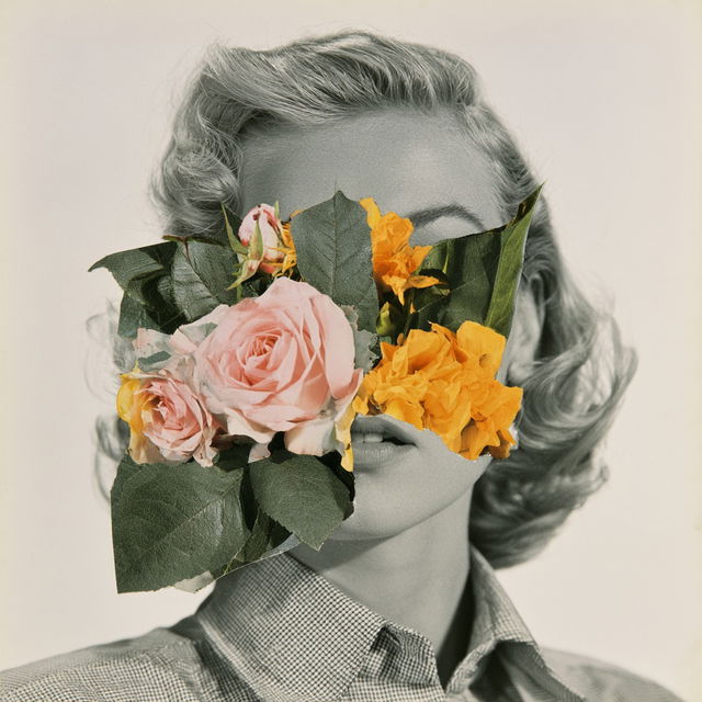John Stezaker style, Midjourney V8.2, render 4 of 4