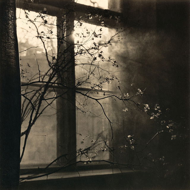 Josef Sudek style, Midjourney V8.2, render 2 of 4