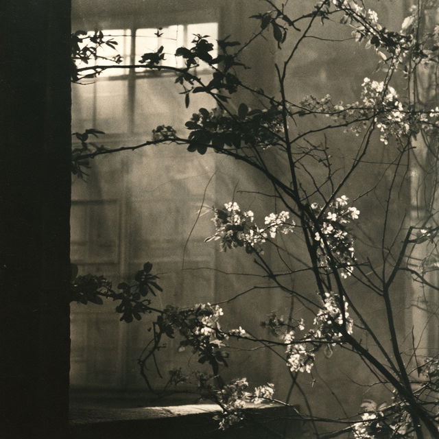 Josef Sudek style, Midjourney V8.2, render 3 of 4