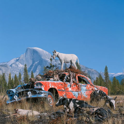 Josh Keyes style (Painters), Midjourney V8.2