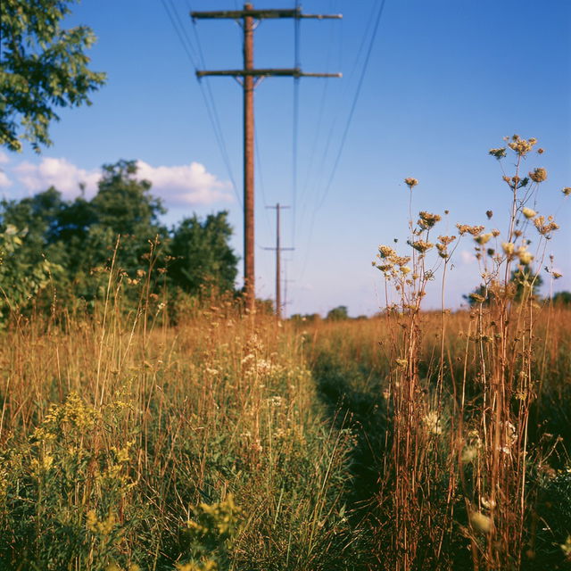 Kodak Ektachrome E100 style, Midjourney V8.2, render 1 of 4