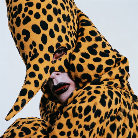 Leigh Bowery style (Fashion designers), Midjourney V8.2