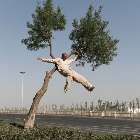 Li Wei style (Various), Midjourney V8.2