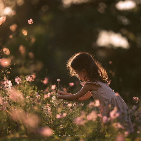 Lilia Alvarado style (Photographers), Midjourney V8.2