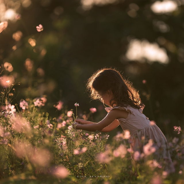 Lilia Alvarado style, Midjourney V8.2, render 1 of 4