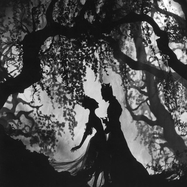 Lotte Reiniger style, Midjourney V8.2, render 3 of 4