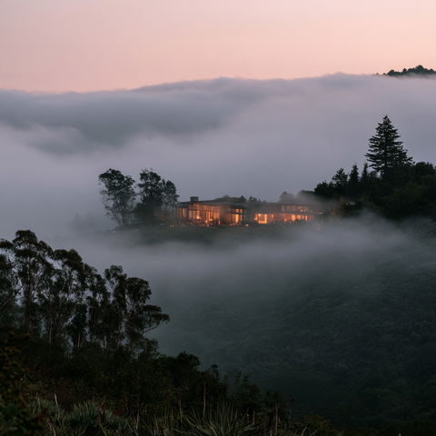 Low-hanging fog style (Modifiers), Midjourney V8.2