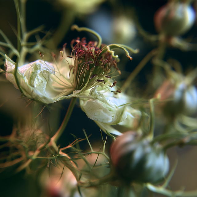 Macro view style, Midjourney V8.2, render 3 of 4