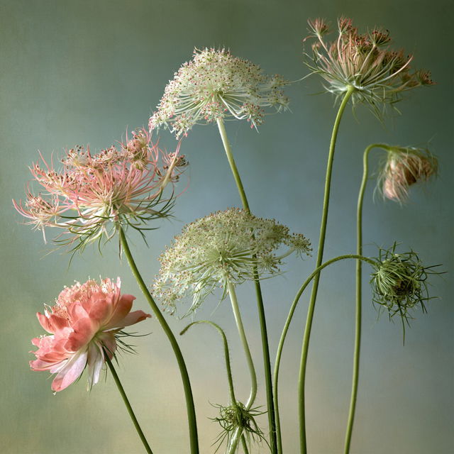 Mandy Disher style, Midjourney V8.2, render 4 of 4