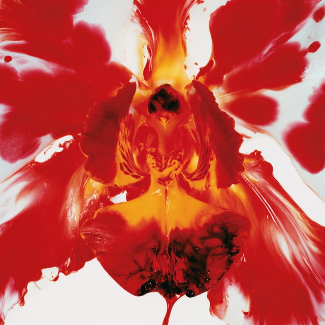 Marc Quinn style, Midjourney V8.2, render 3 of 4