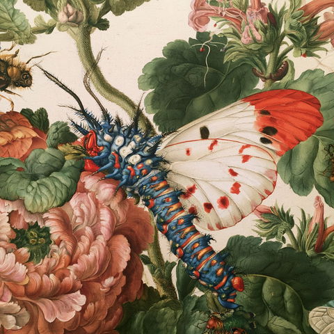 Maria Sibylla Merian style (Illustrators), Midjourney V8.2