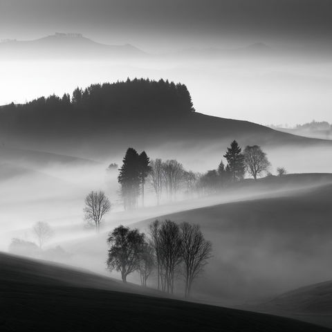 Martin Rak style (Photographers), Midjourney V8.2