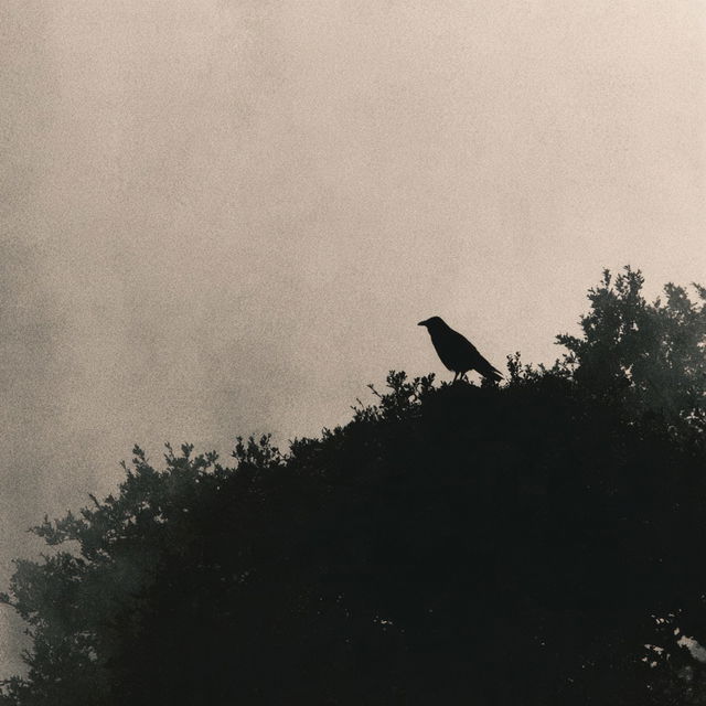 Masao Yamamoto style, Midjourney V8.2, render 4 of 4