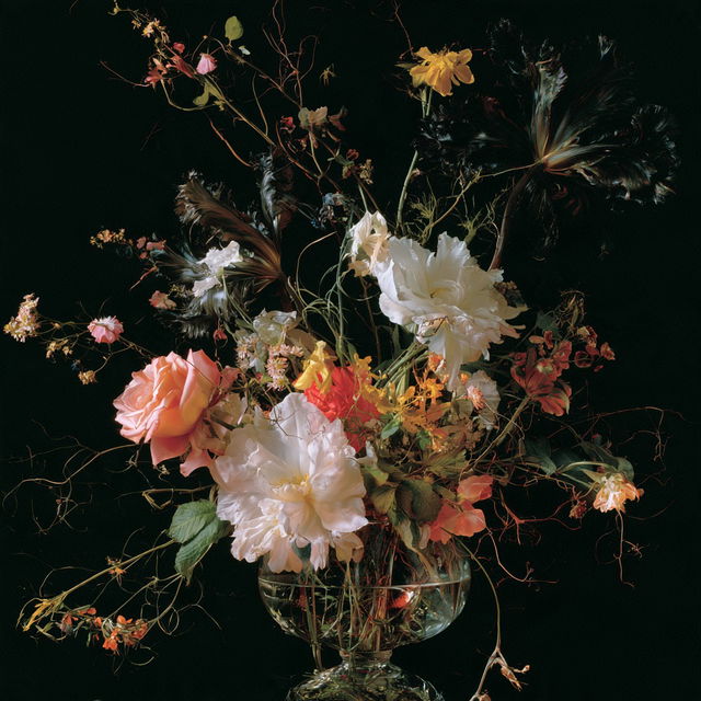 Mat Collishaw style, Midjourney V8.2, render 2 of 4